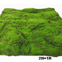 uploads/erp/collection/images/Home Garden/dgjiawang/XU0612893/img_b/XU0612893_img_b_5